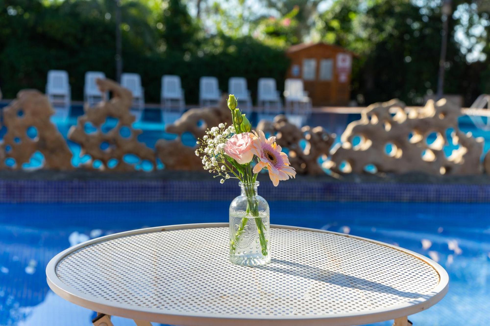 Las Palmeras Crevillente Ngoại thất bức ảnh